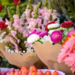 Significato dei colori dei fiori: li conosciamo davvero?