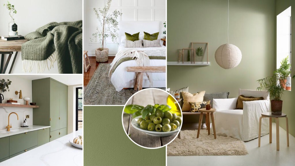 La bellezza dei colori: il verde oliva - Homedecordetails