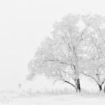 Tutto e niente: riflessioni sul colore bianco