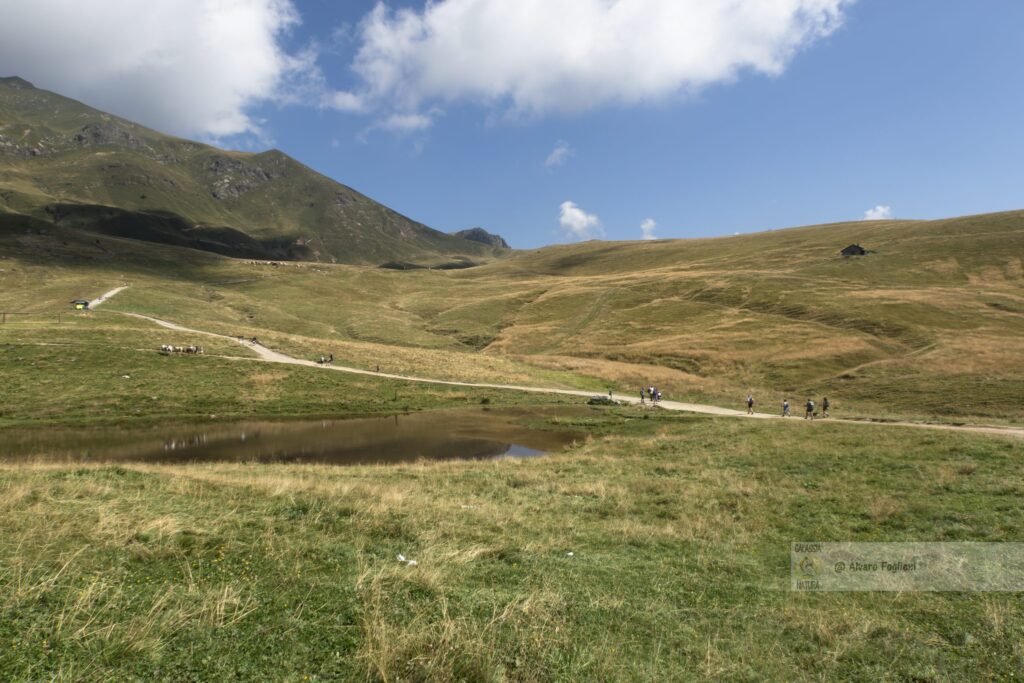 Soggetti tipici di montagna - Pixel di Natura