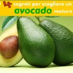 4 segreti per riconoscere un avocado maturo - Dott. 