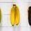Qual è il colore banana