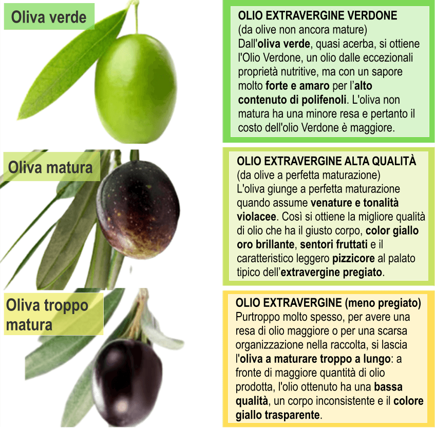 Come riconoscere un buon olio extravergine e che aspetto deve avere