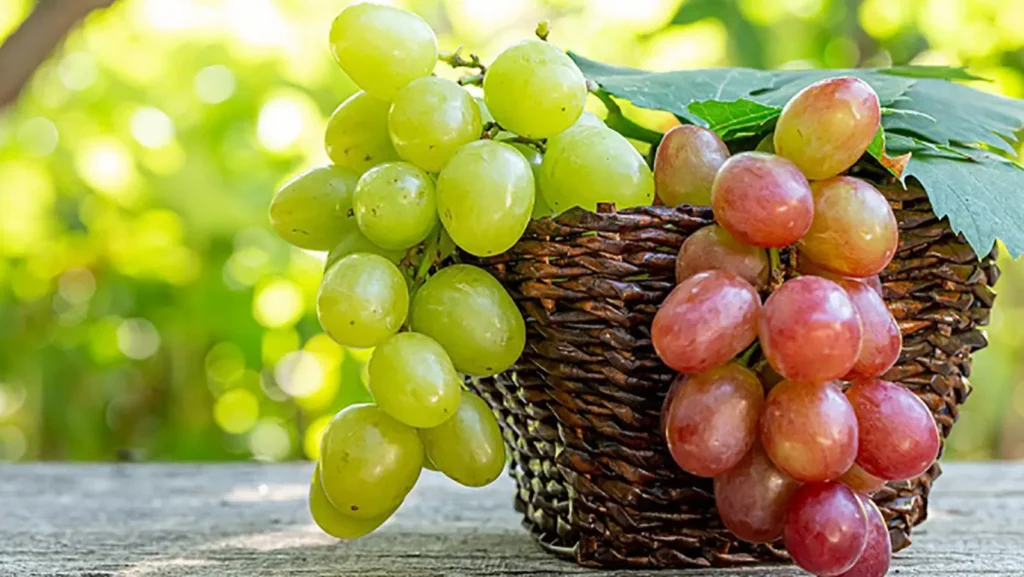 Colore dell'uva: cosa attrae il consumatore?