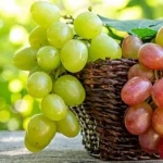 Colore dell'uva: cosa attrae il consumatore? 