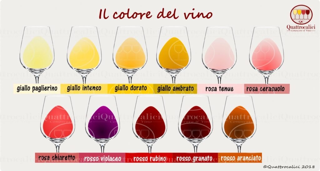 Colore del vino - Quattrocalici