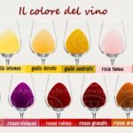 Colore del vino - Quattrocalici