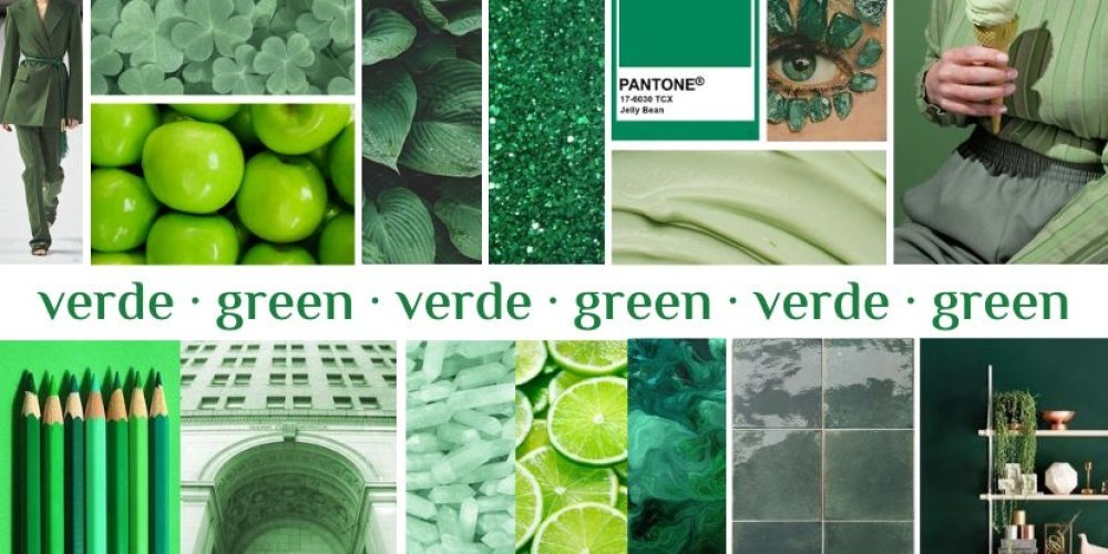 Decorare in verde: aggiungere freschezza e sostenibilità al...